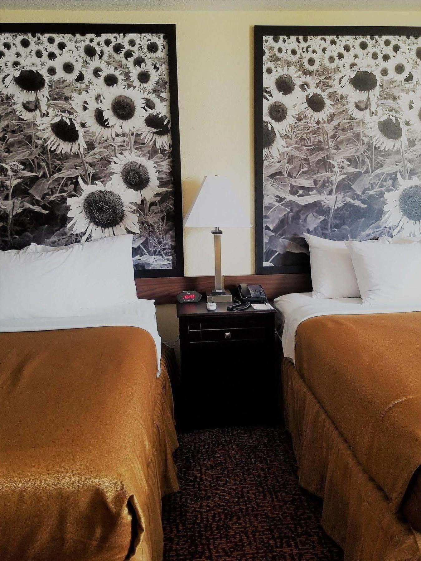 Super 8 By Wyndham Des Moines Hotel Exterior foto